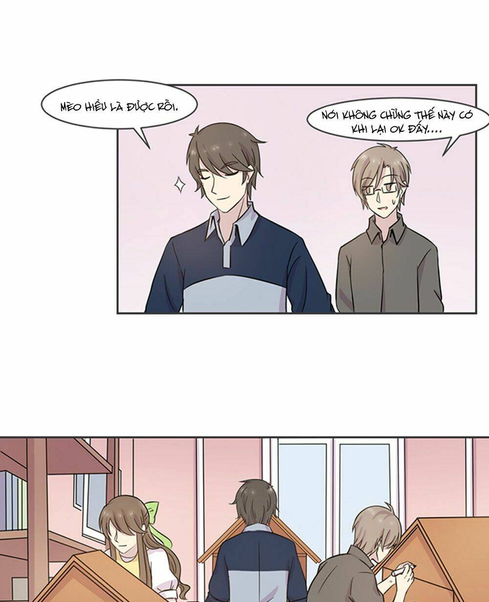 hai chú mèo totem chapter 16 15
