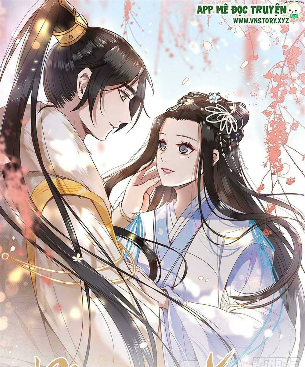 phượng hoàng vu phi chapter 95 1