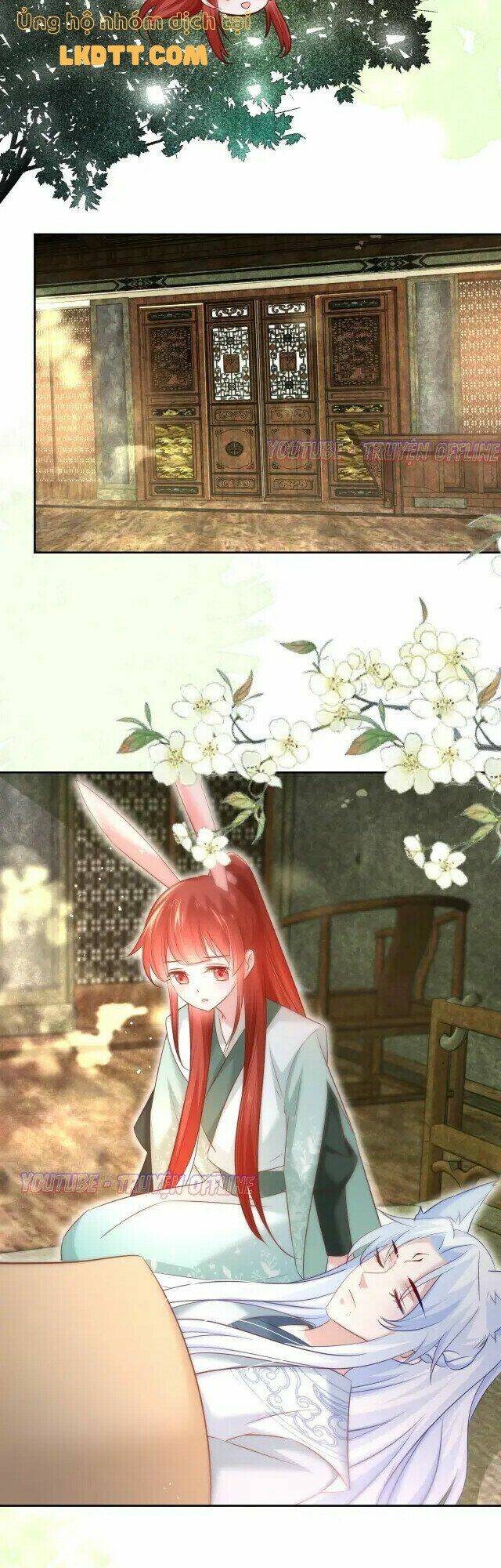 hắc hóa nam chính trực tuyến nuôi thỏ chapter 28 19