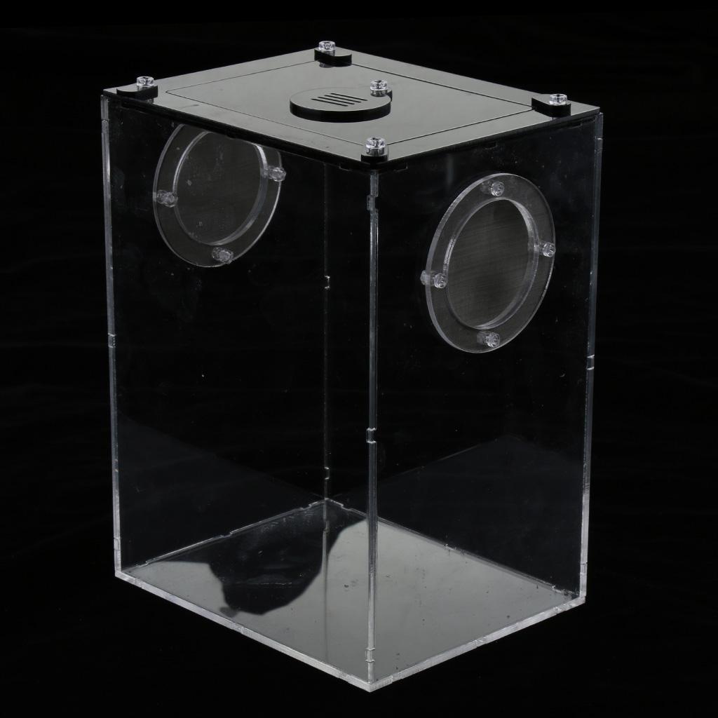 2pcs Reptile Feeding Box Transparent Cage Hatching Container For Lizards