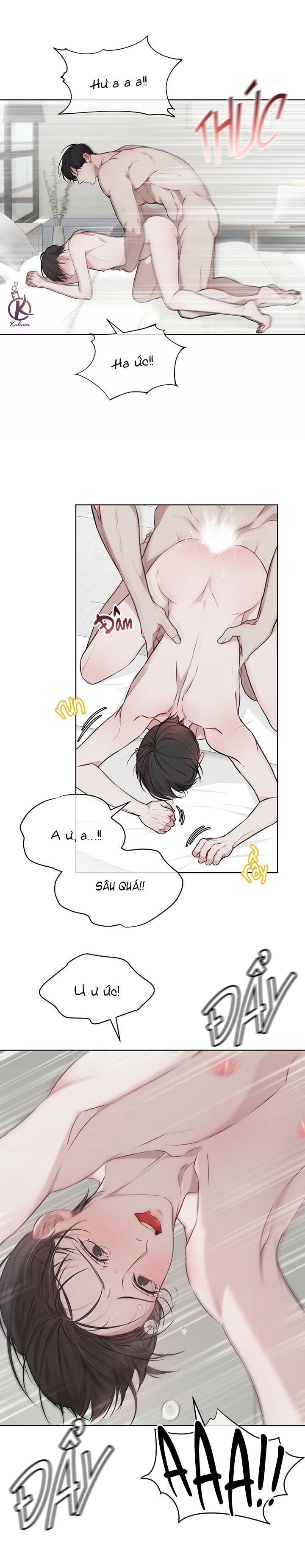 hình thái khởi sinh chapter 19 6