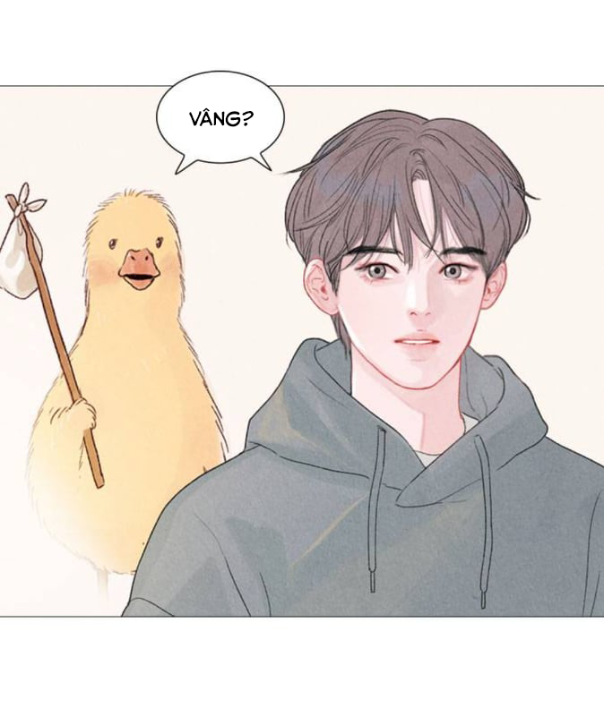 tình yêu như một giấc mộng hè chapter 1 19