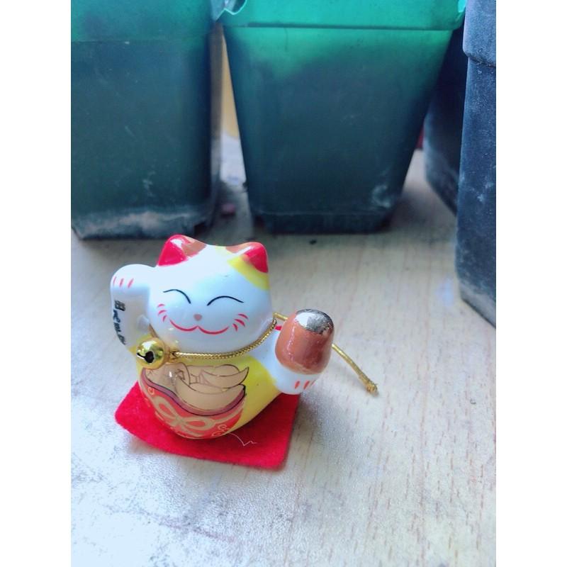 Mèo May Mắn Tài Lộc