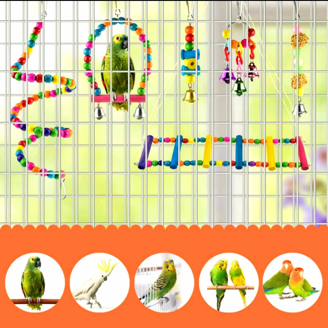 Combo 6 món đồ chơi treo lồng cho vẹt, sóc, chuột hamster và chim cảnh khác (mã 002)