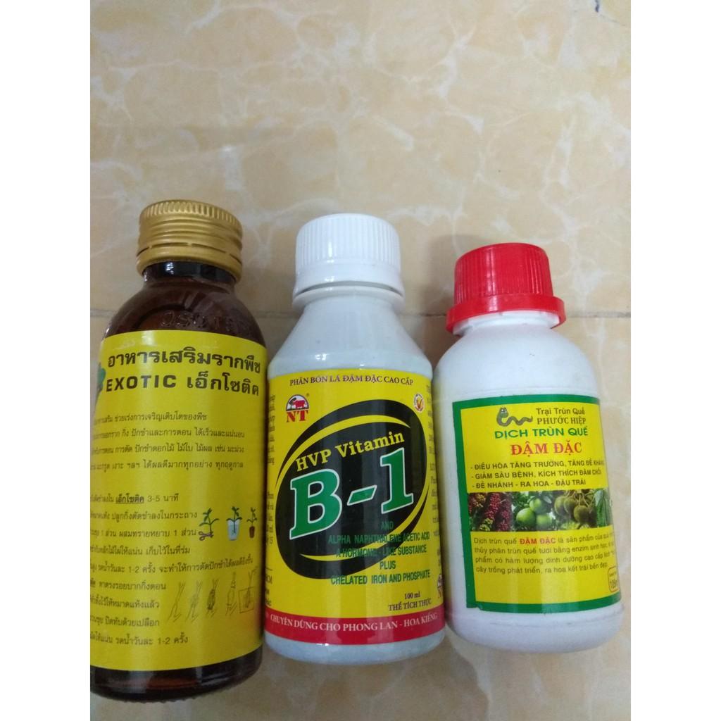 Combo kích rễ dưỡng cây Exotic - B1 HVP 100ml tặng chai dịch trùn quế đậm đặc 105ml