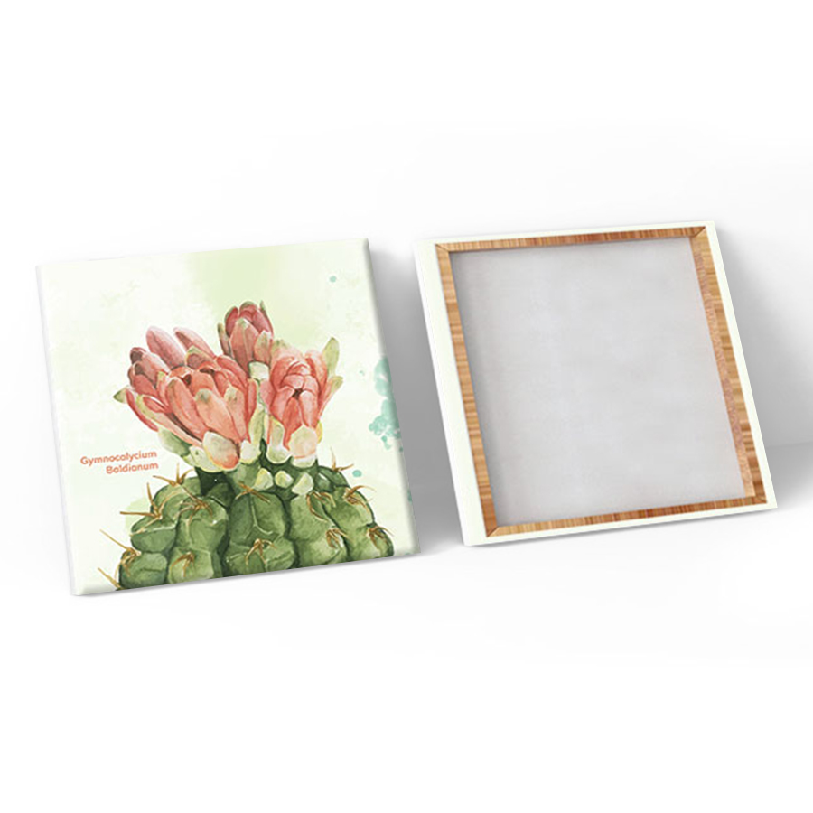 Bộ 3 Tranh Canvas Hoa Xương Rồng - W103