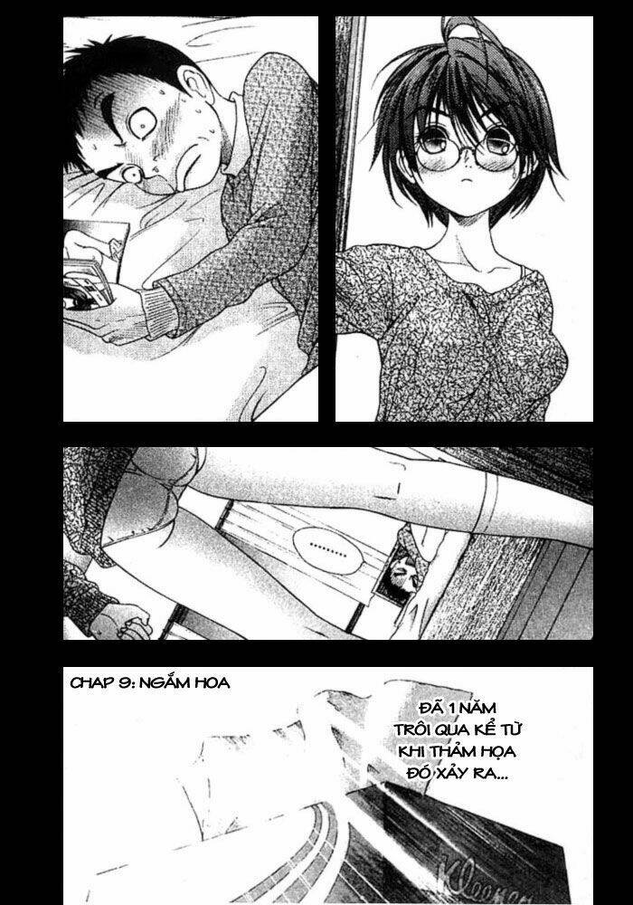 happy world! chapter 9 5