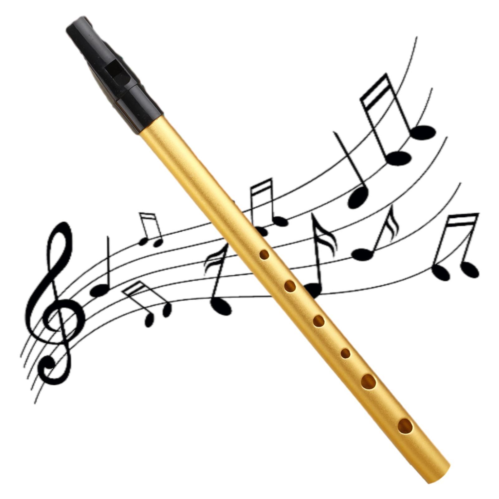 Whistle, Portable 6 Hole Piccolo Musical, Traditional Durable Flute Easy to Learn Fipple, Whistle Key of C for Kids, Beginners, Music Lovers Gift