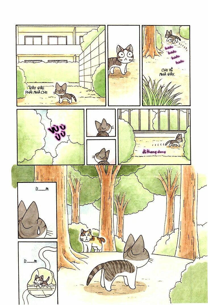 chi's sweet home chapter 84 8