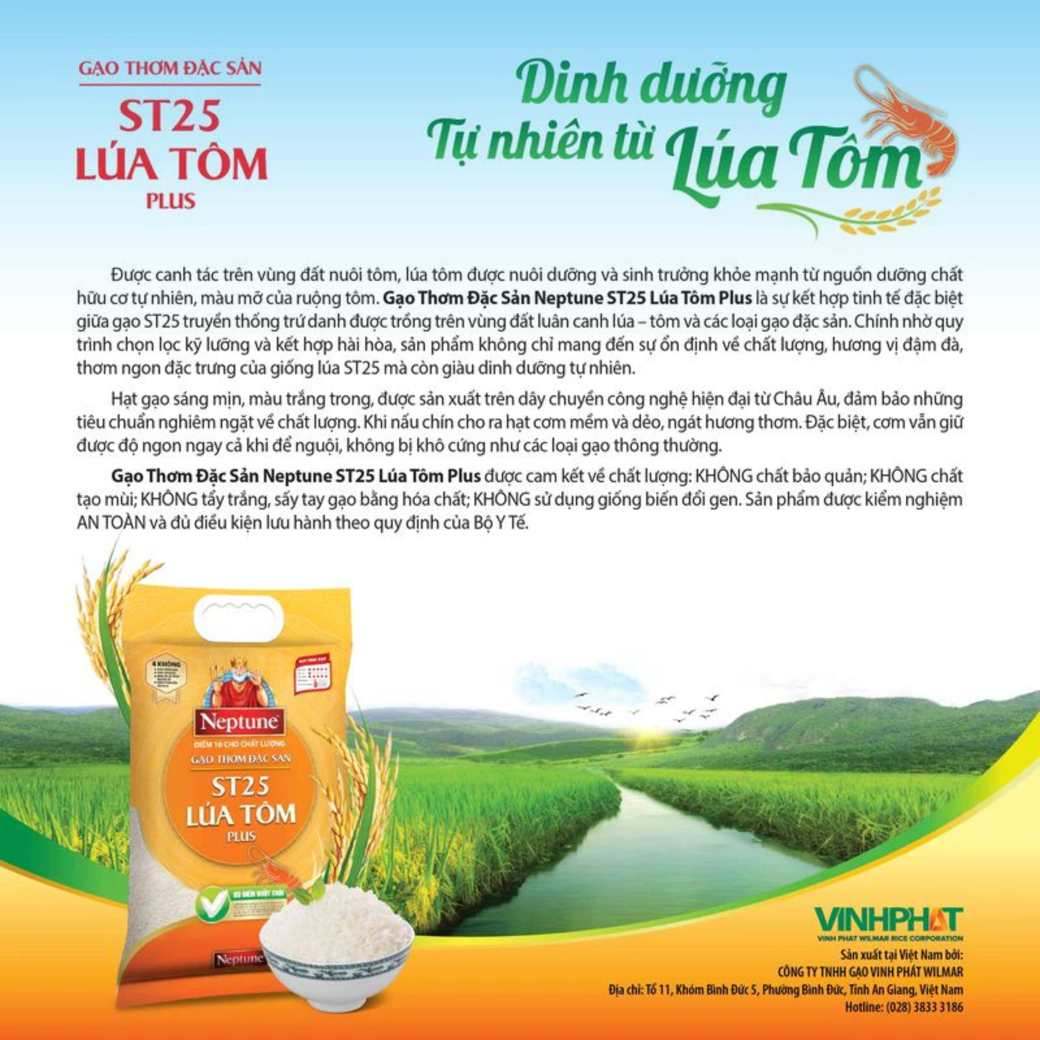 Gạo Thơm Đặc Sản Neptune ST25 Plus Lúa Tôm 5kg