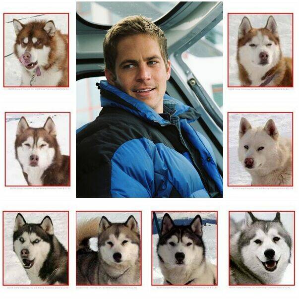 doubutsu no oishasan chapter 5 18