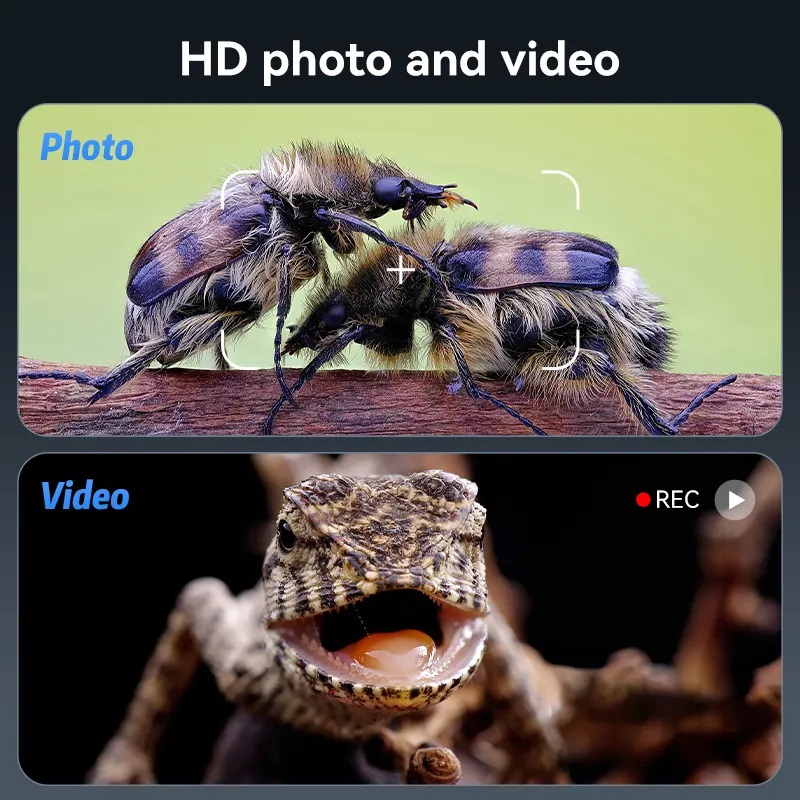 Kính hiển vi kỹ thuật số Terino HD1200X-TN (độ phóng đại 1200X, LCD 7 inch IPS)- Hàng chính hãng