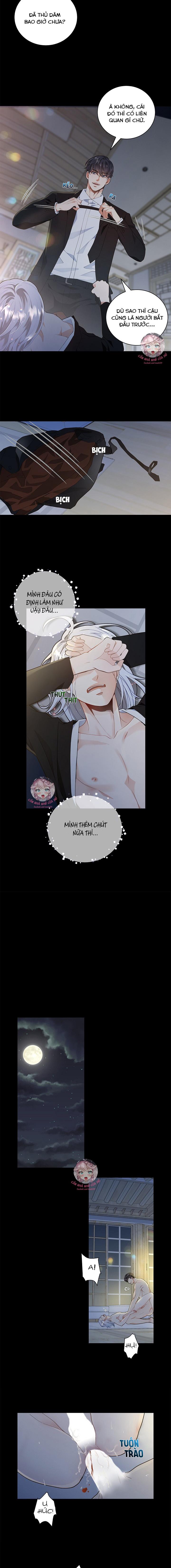 hôn nhân bị đánh cắp của hồ ly chapter 1 8