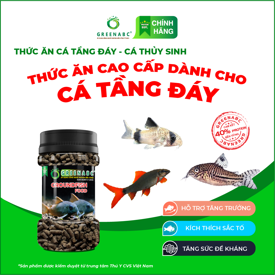 Thức ăn cá Chuột, cá Lau Kính, cá Tỳ Bà, cá Chạch, cá Oto, cá Chép,… GREENABC - Tăng kích thước, lên màu đẹp - Hộp 65g