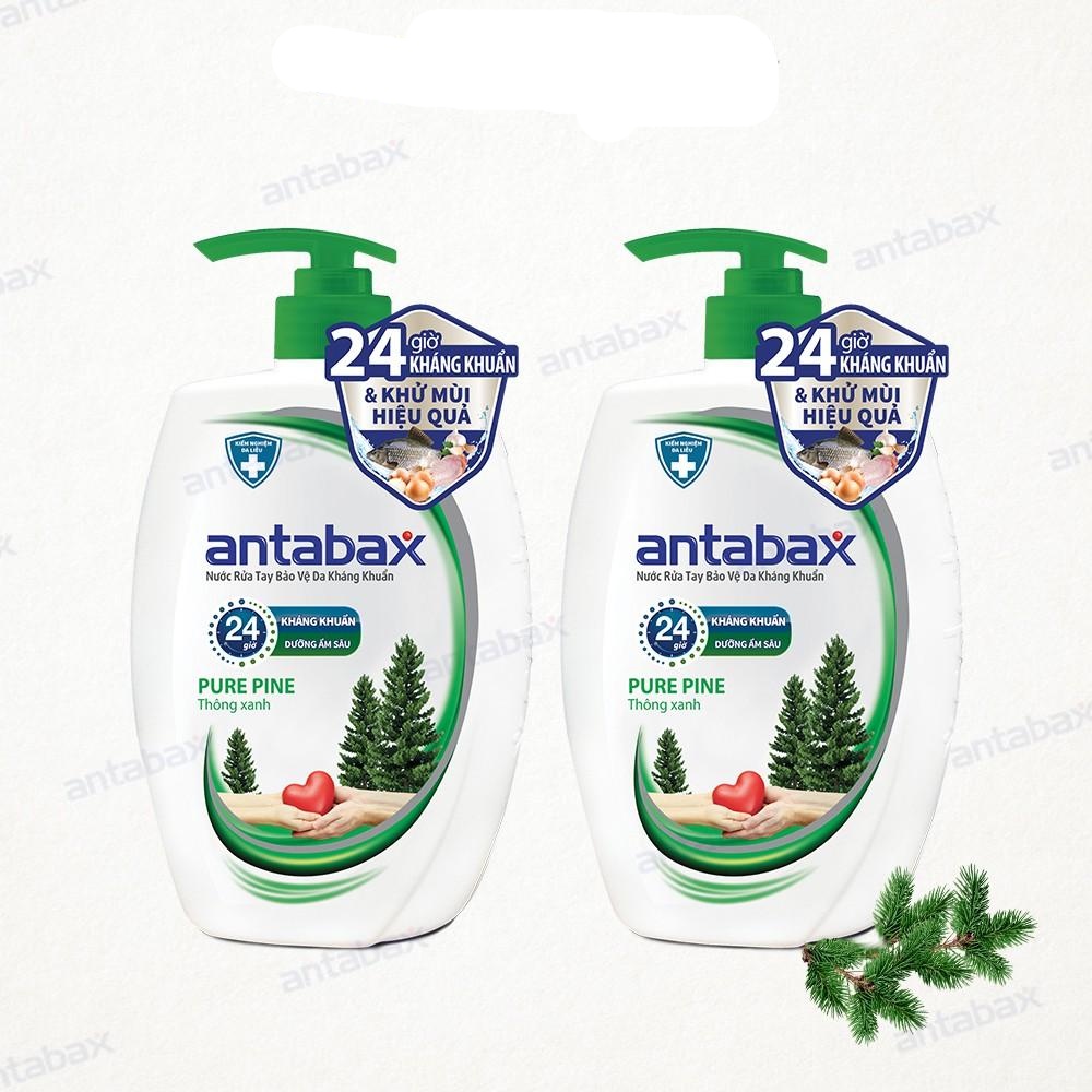 Combo 2 Nước Rửa Tay Bảo Vệ Da Kháng Khuẩn Antabax Pure Pine Thông Xanh 250ml