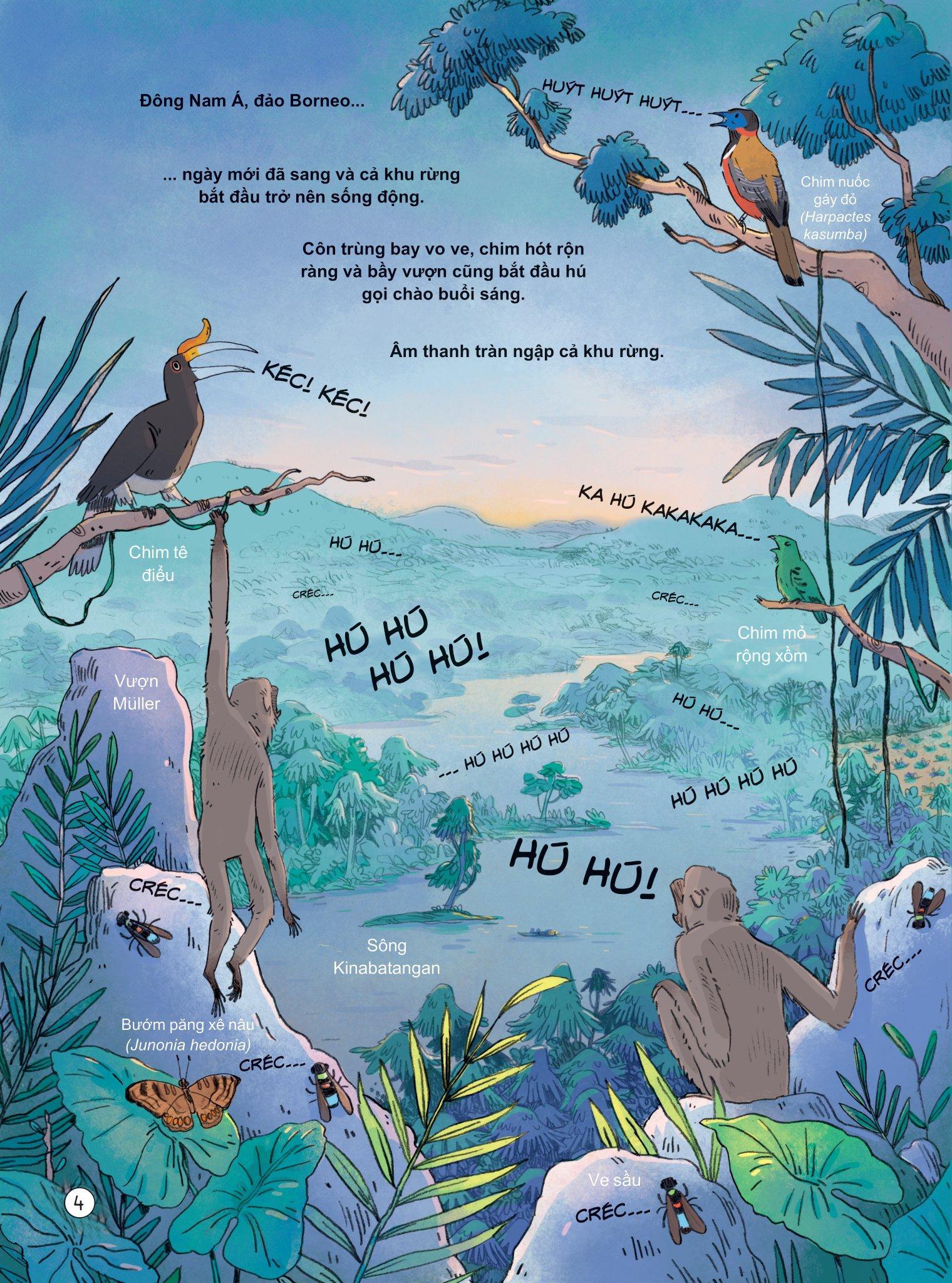 24 Giờ Trong Rừng Nhiệt Đới - ảnh 7