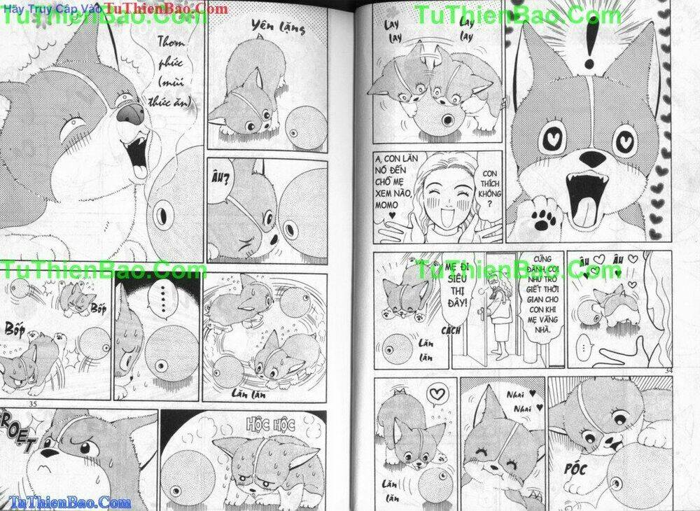 chó con mo mo chapter 3 19