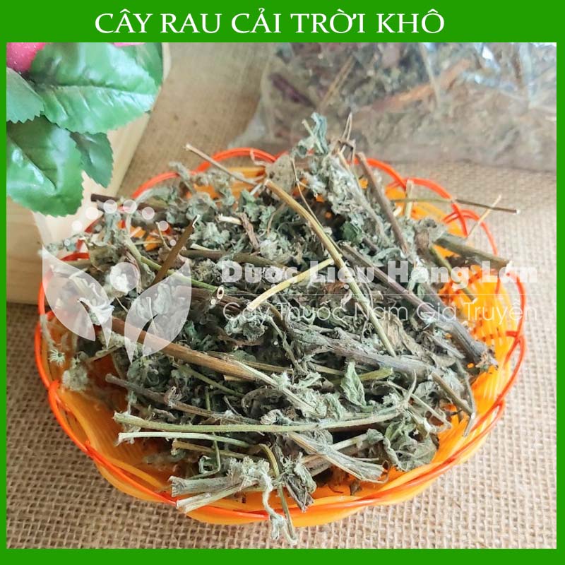 Cây Rau Cải Trời khô 500g (Hàng Công Ty)