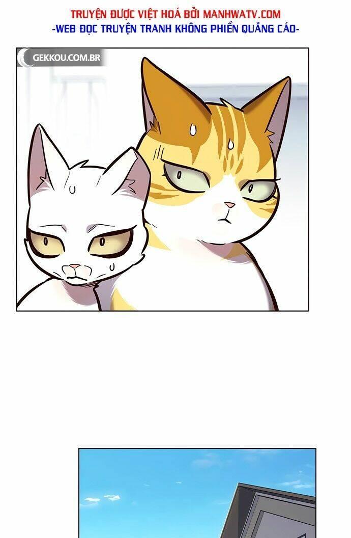 biến thân thành mèo chapter 188 35