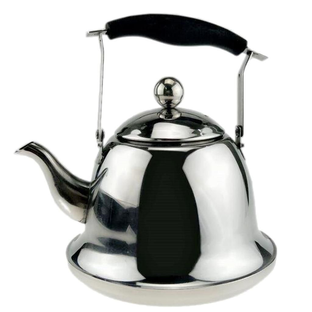 Tea Kettle Stainless Steel Teapot for Tea Coffee Fast Boiling 1L
