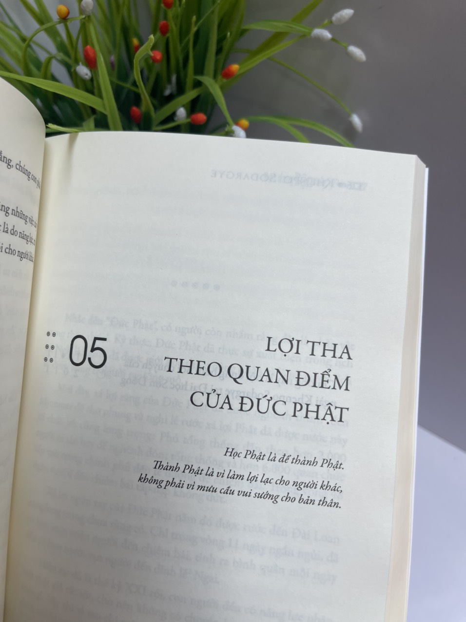 BẠN ĐANG BẬN VIỆC GÌ? - Khenpo Sodargye - Thuận Minh dịch -  Achaubooks – NXB Lao Động