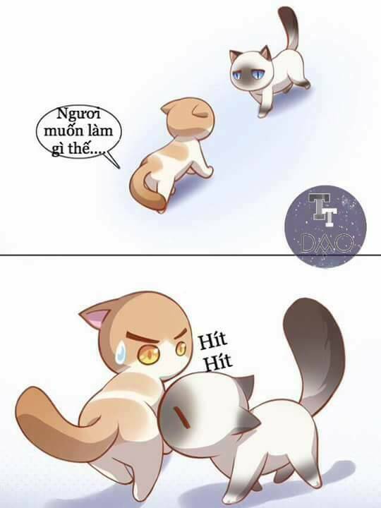 thị hoang chi thần chapter 8 13