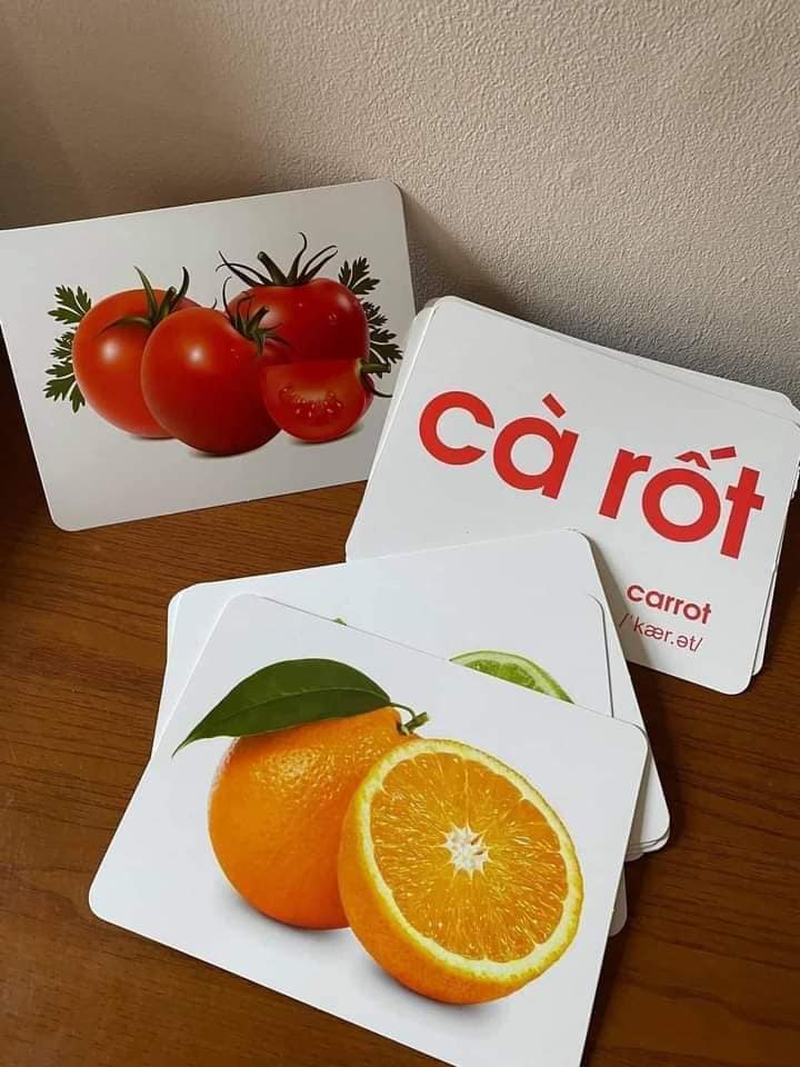Thẻ Học Thông Minh Cho Bé, Bộ 100 Thẻ Flashcard Về Thế Giới Xung Quanh Với 14 Chủ Đề