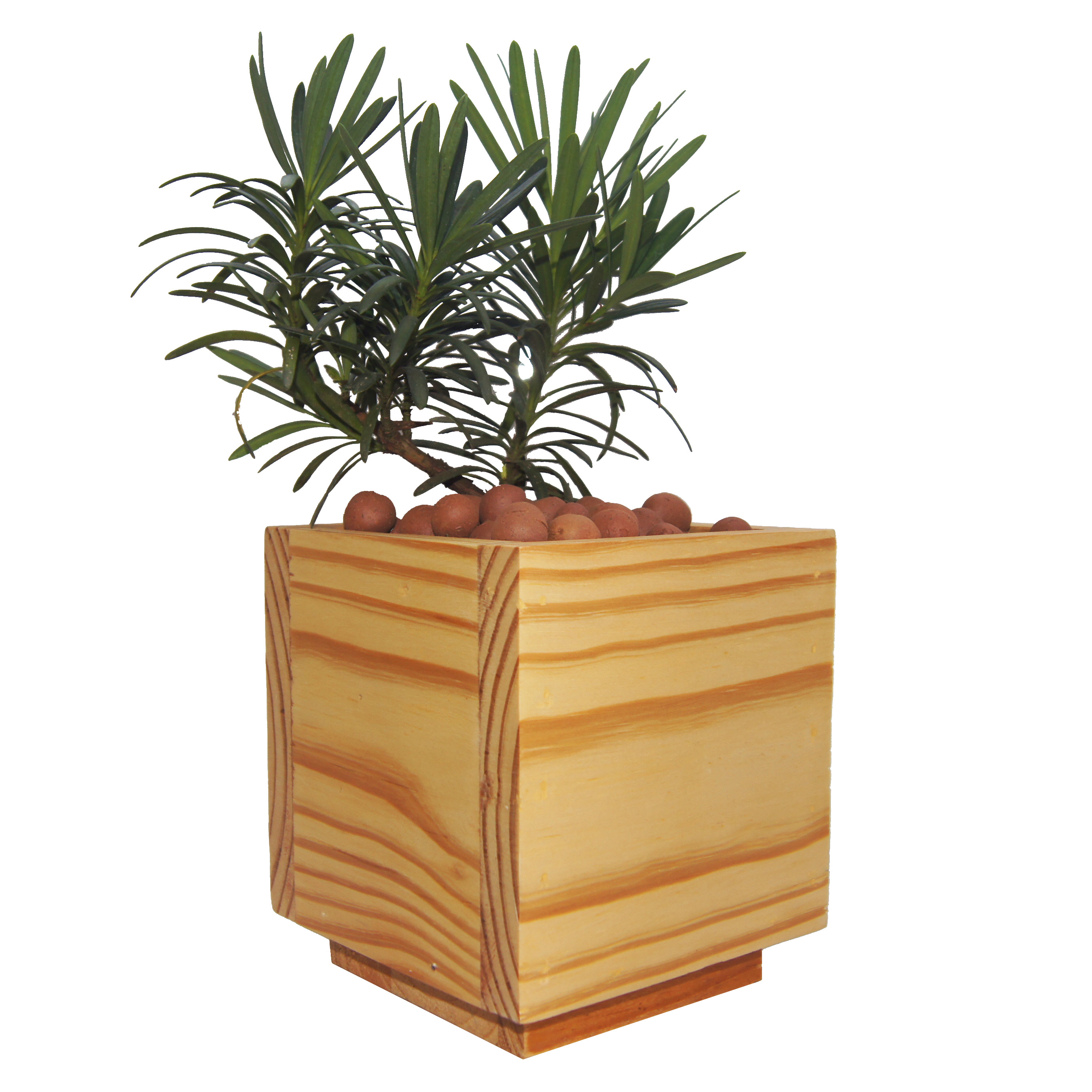 Chậu cây bằng gỗ Hình vuông Đóng thủ công Màu vàng - Kích thước: 13x13cm