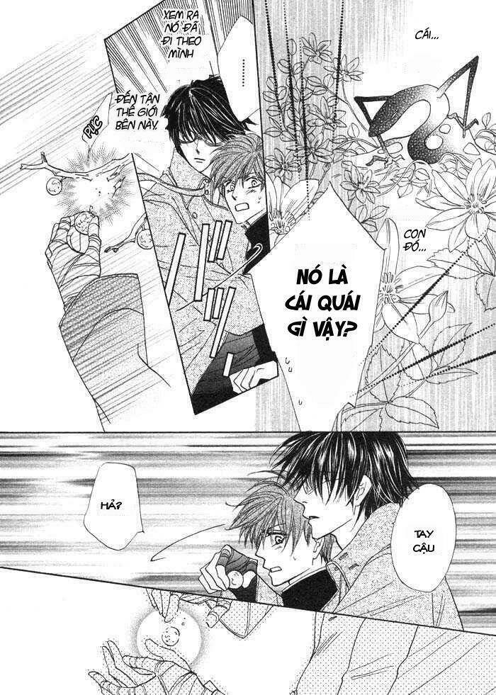 kim cương bạc chapter 1 31