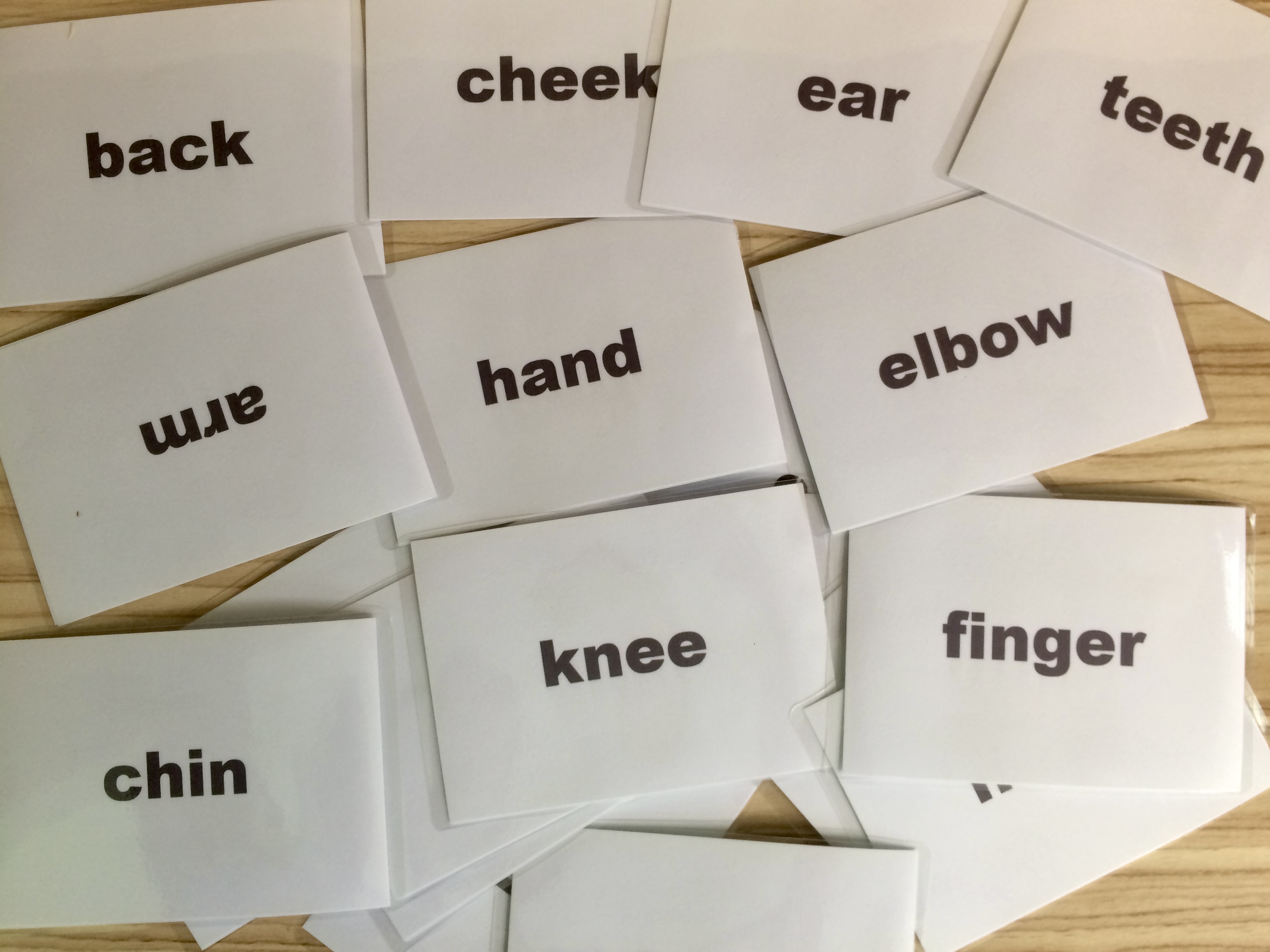 Body part Flashcards - Normal External Parts - Thẻ học tiếng Anh chủ đề các bộ phận cơ thể thông thường - 20 cards