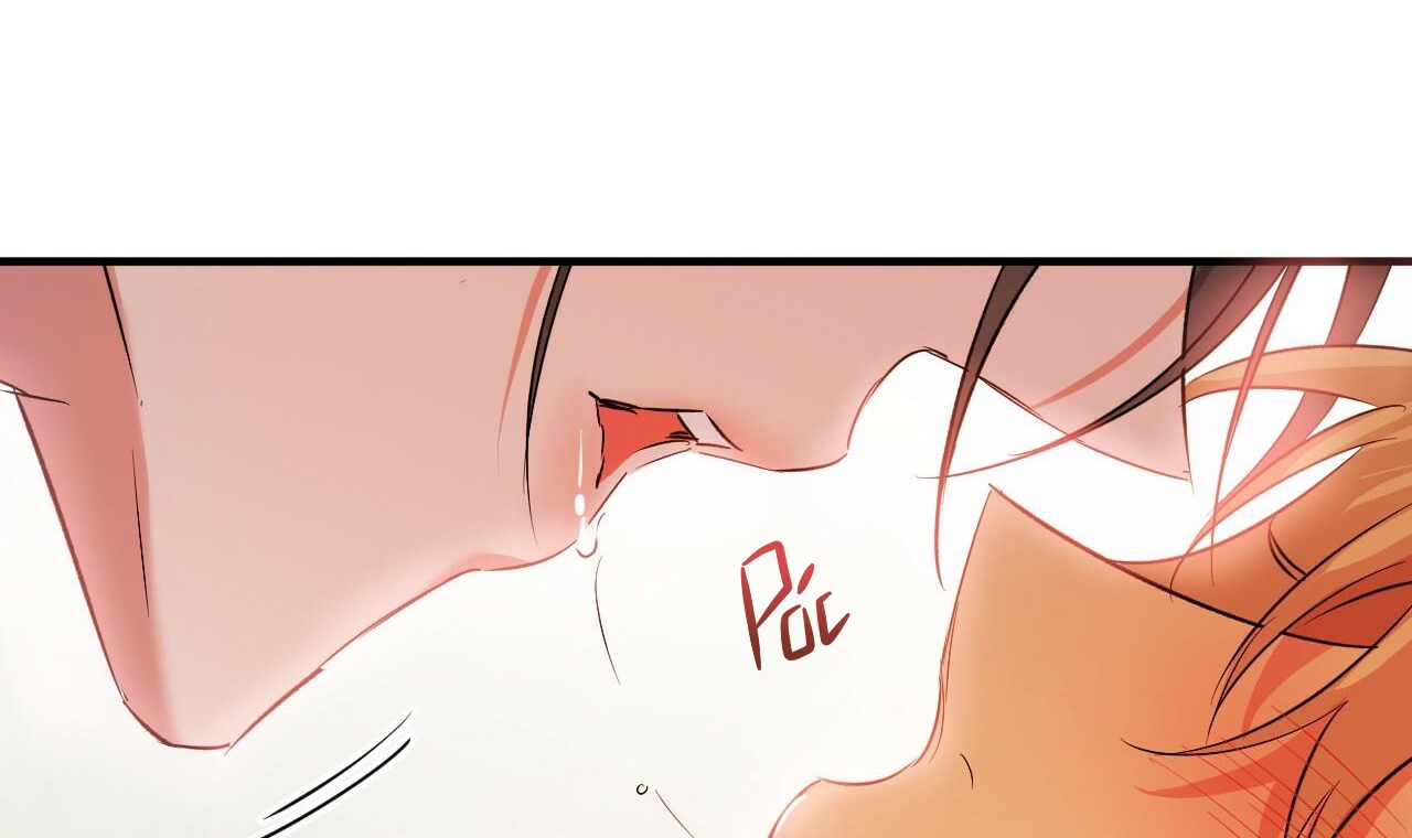 những chú thỏ của hapypy chapter 53 233