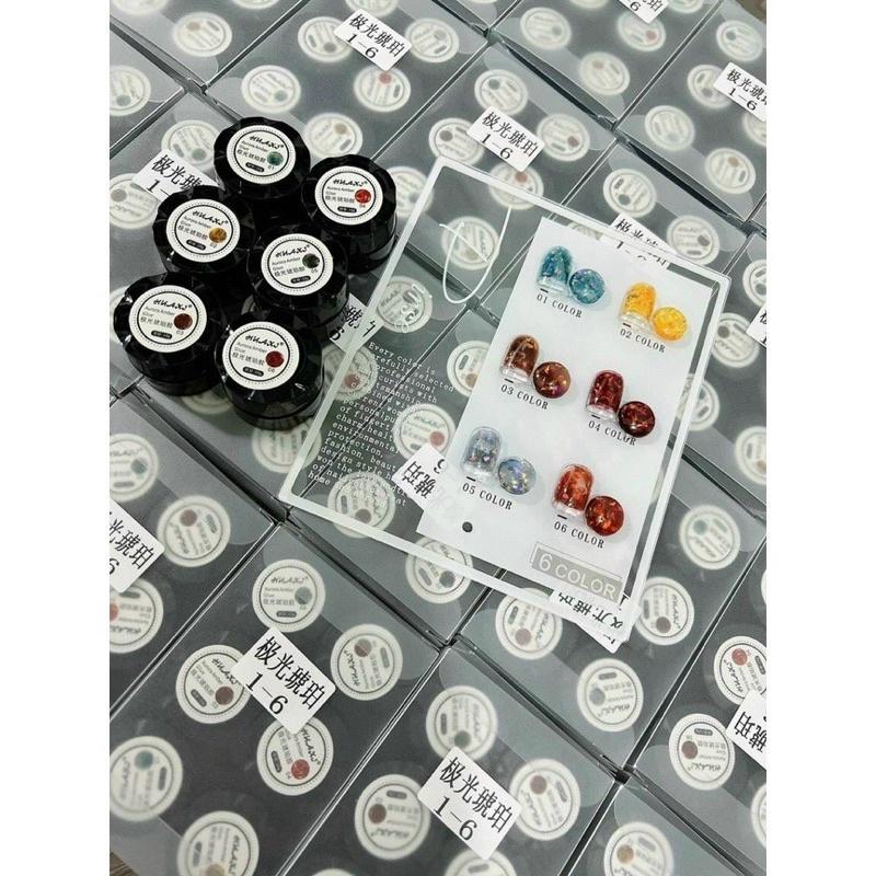 Gel hổ phách set 6 hũ tặng kèm bảng màu beeshi shop nail