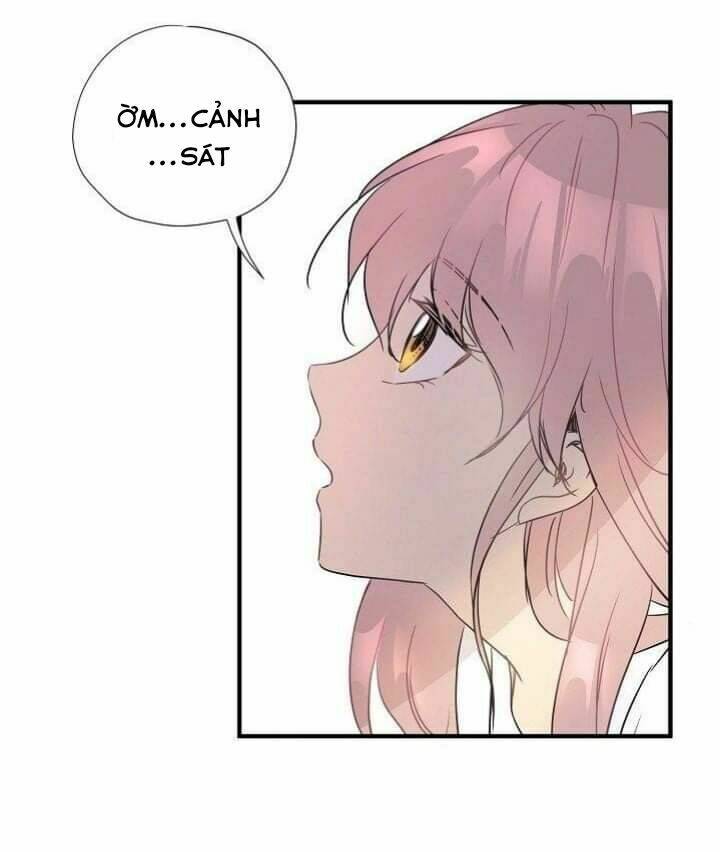 một cuộc sống kỳ lạ chapter 2 19