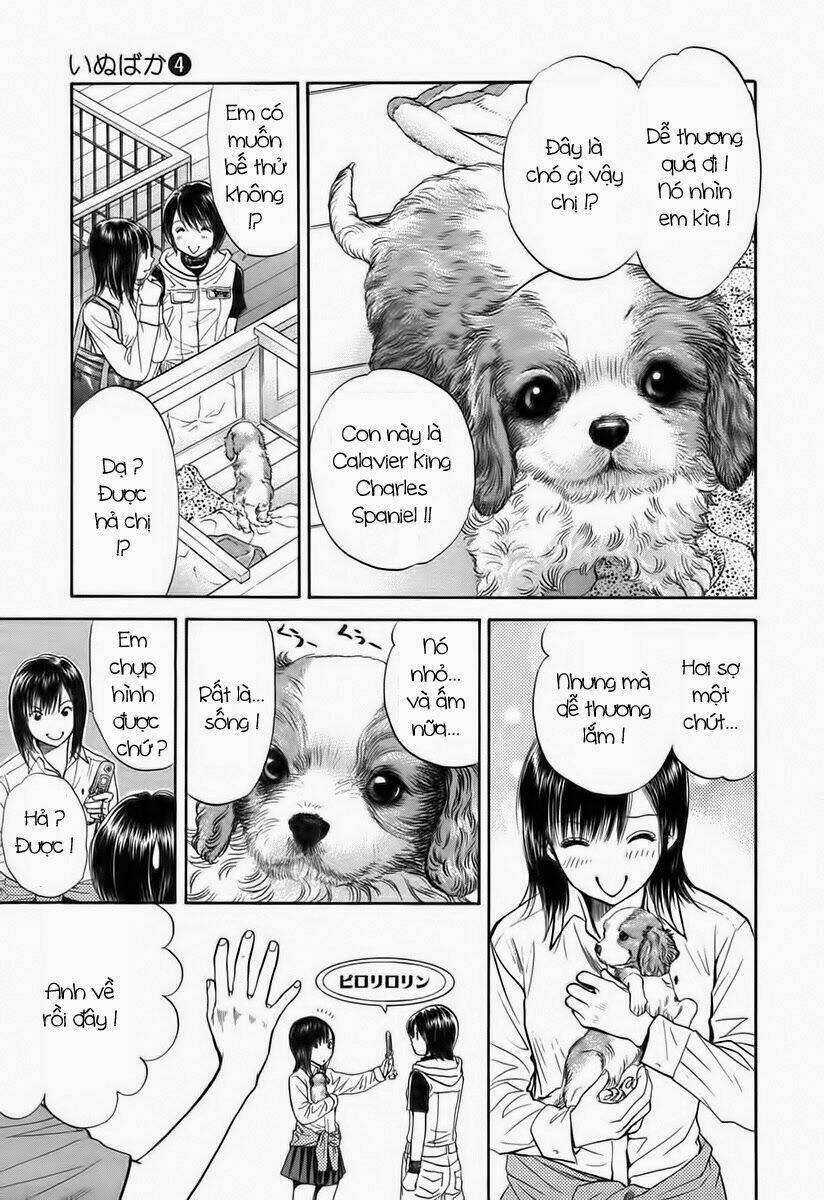 cô nàng yêu chó chapter 41 5