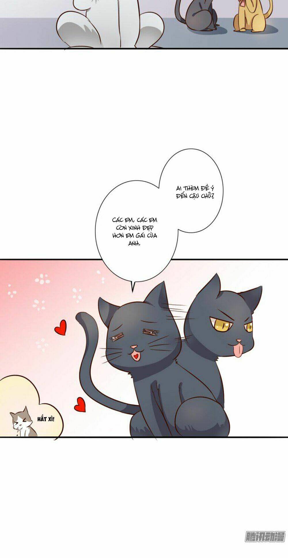 hai chú mèo totem chapter 3 19