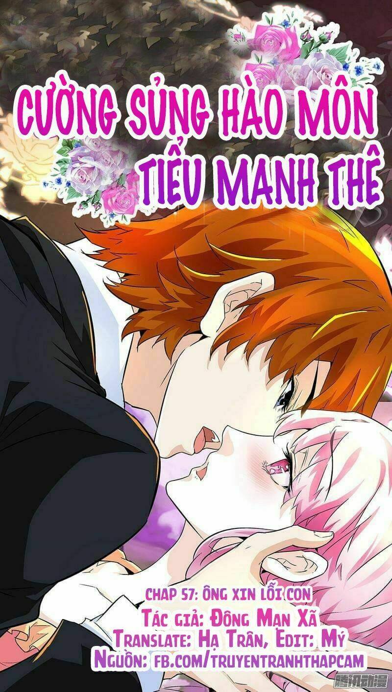 cường sủng hào môn tiểu manh thê chapter 57 1