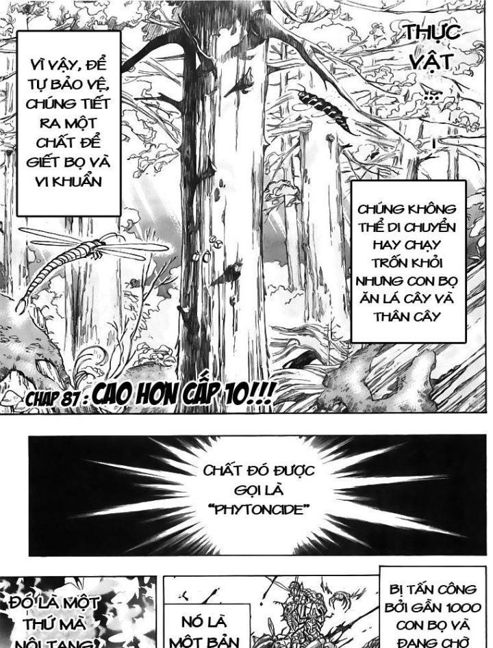 thánh tỏi sành ăn chapter 87 4
