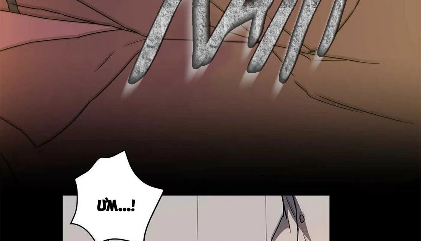 guide cấp b chapter 6 92