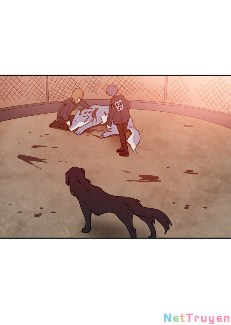 lumine - cội nguồn ánh sáng chapter 74 12