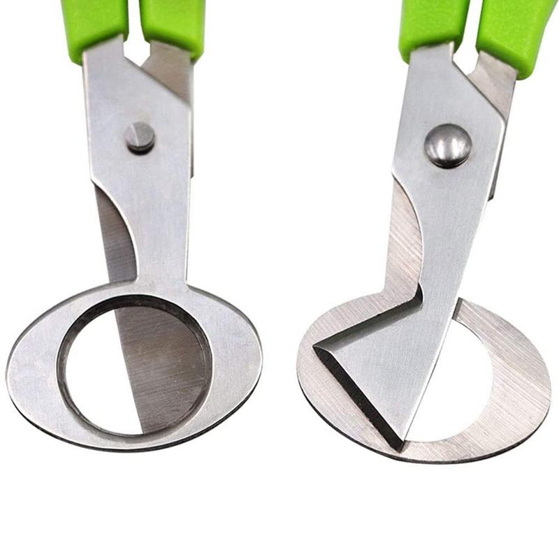 10 Chiếc Inox Chim Cút Máy Đánh Trứng Kéo Pigeon Chim Chim Cút Máy Đánh Trứng Dụng Cụ Mở Nứt Bếp Bấm Dụng Cụ