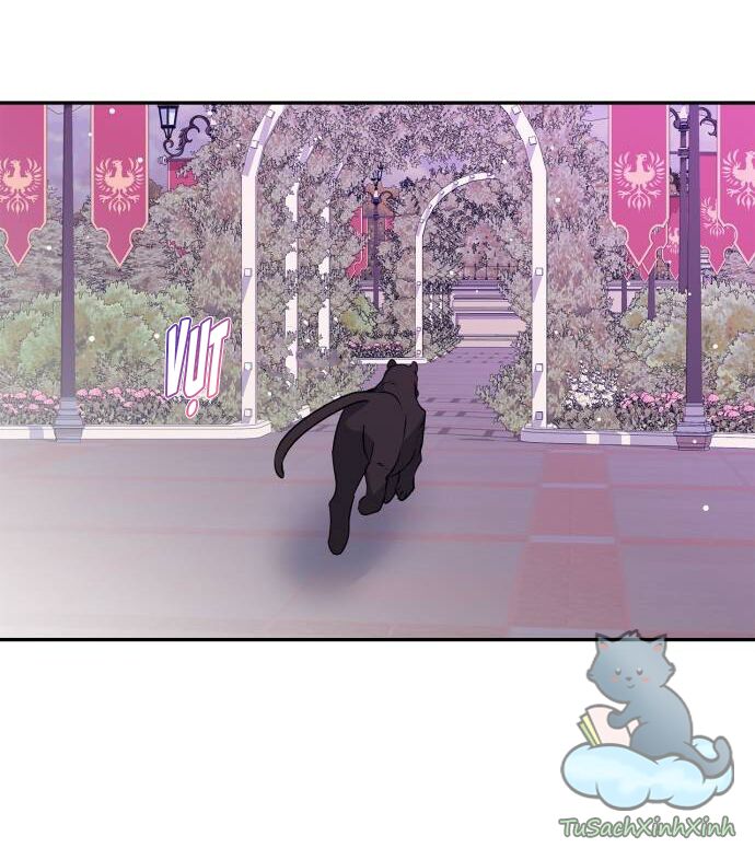 tôi đang nuôi dưỡng một con quái thú chapter 37 42