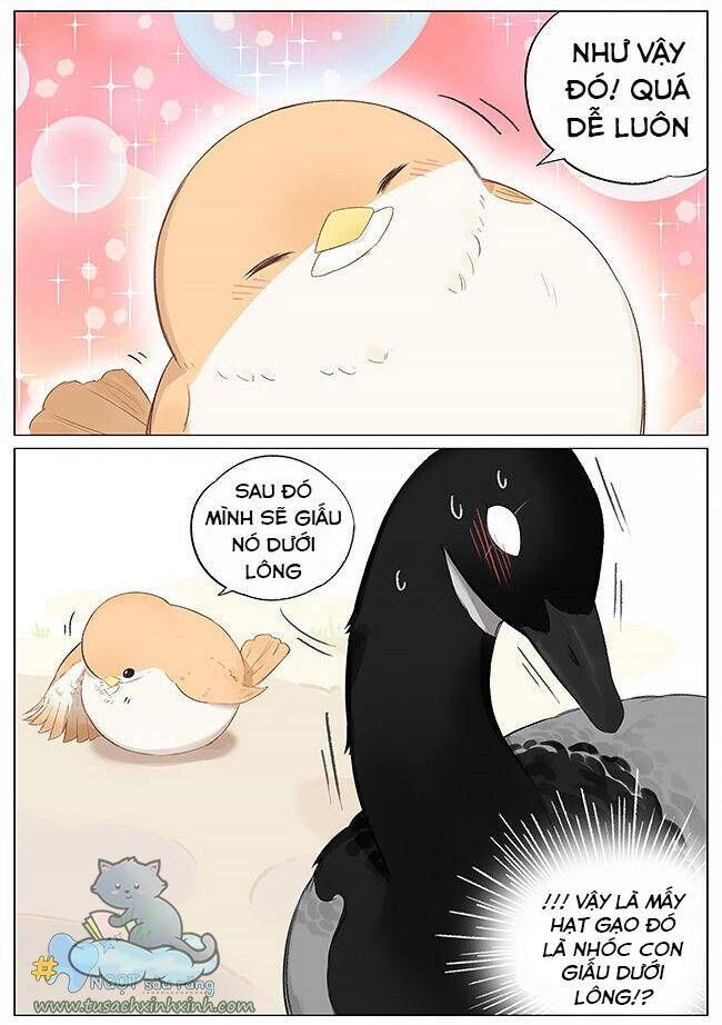 chim sẻ gọi ngỗng trời chapter 4 4