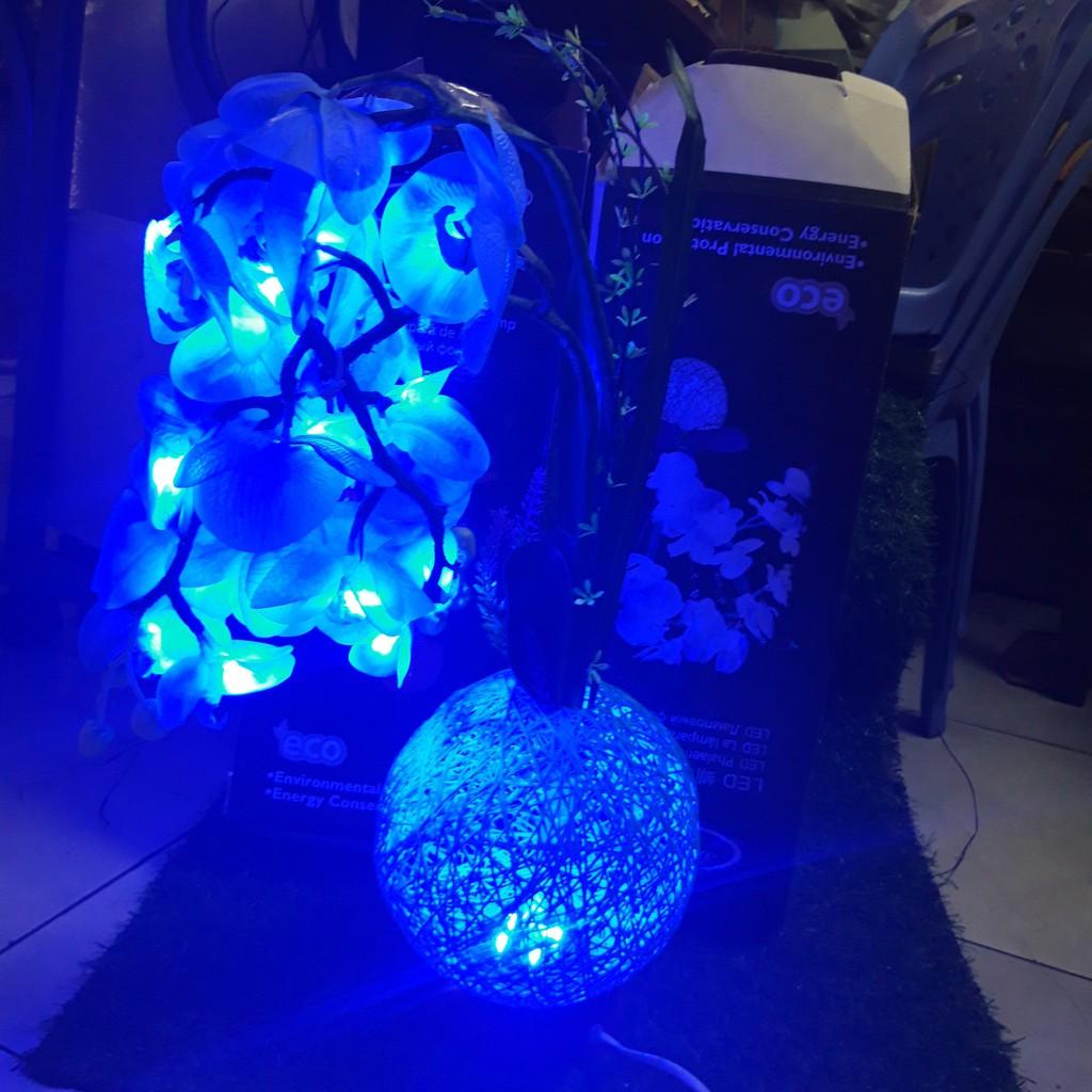 BÌNH HOA LAN HỒ ĐIỆP KẾT HỢP ĐÈN LED TRANG TRÍ NHÀ