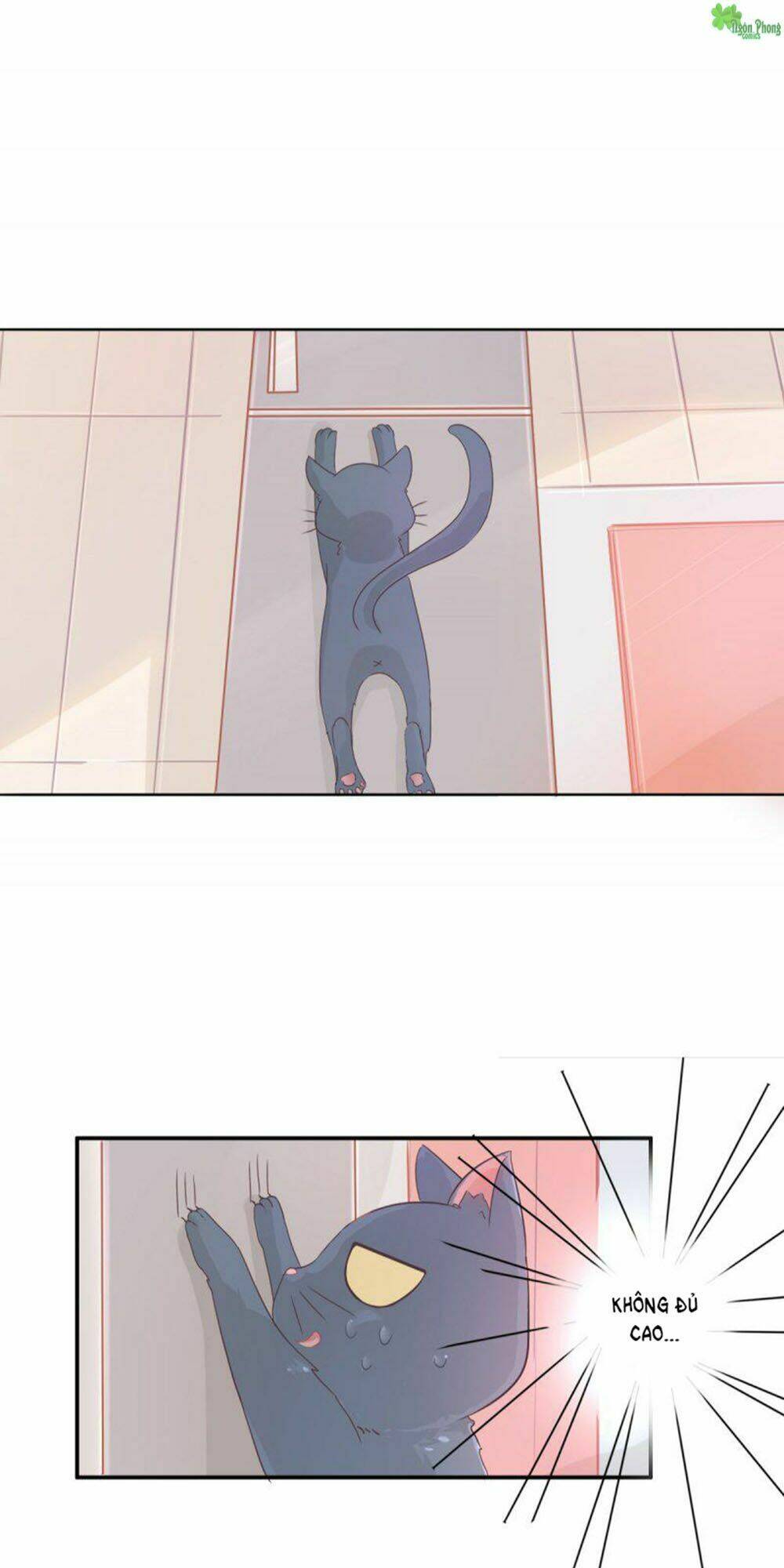 hai chú mèo totem chapter 1 50
