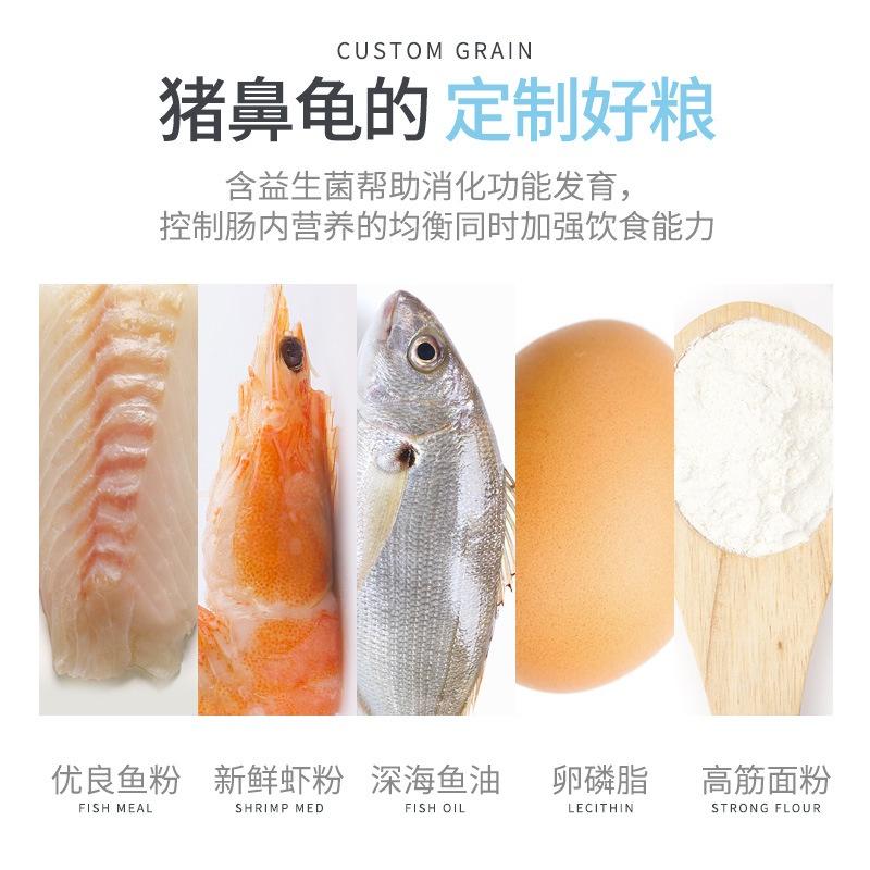 Thức ăn rùa mũi lợn JONSANTY- cám dinh dưỡng rùa mũi lợn và các loại rùa nước - phụ kiện bò sát- shopleo