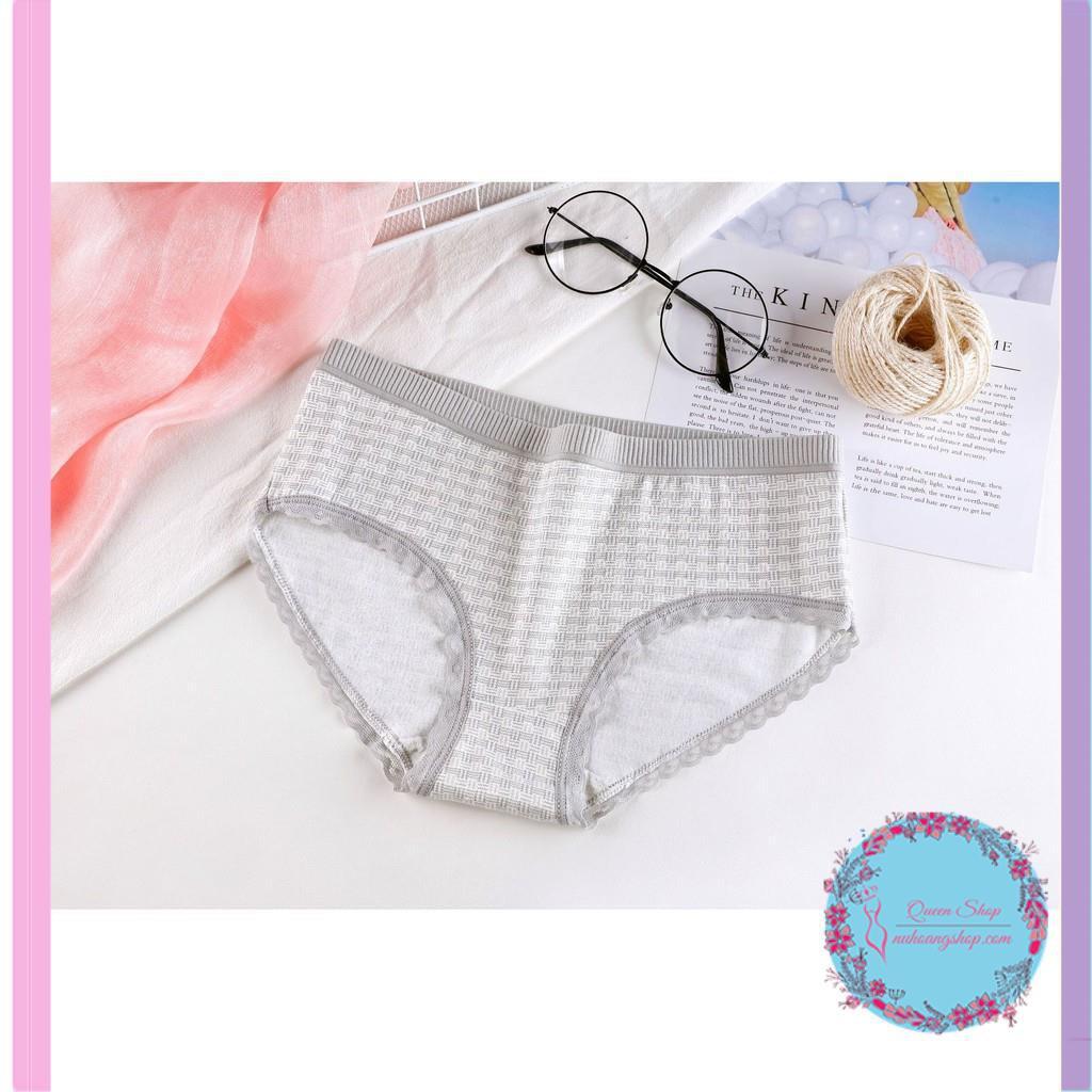 Quần Lót Cotton Sợi Bông Co Giãn Kháng Khuẩn DL101