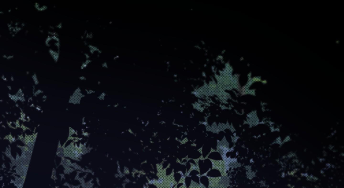 định rõ mối quan hệ chapter 54 192