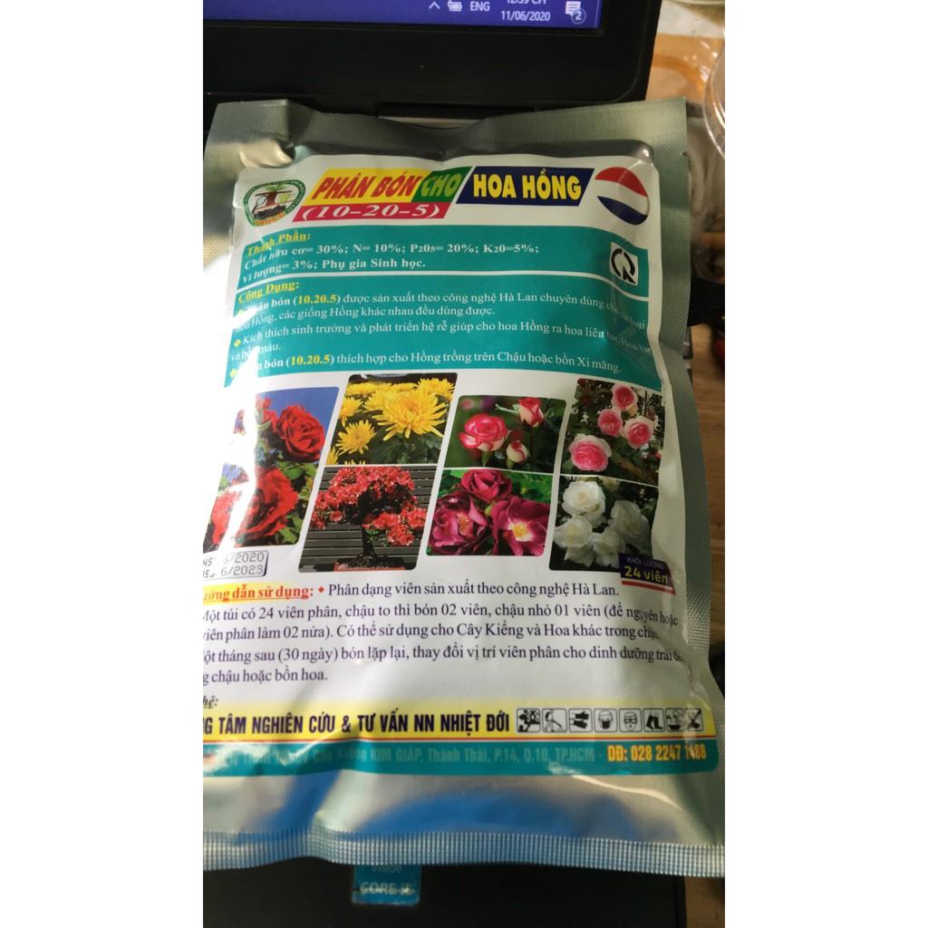 Phân bón cho hoa hồng NPK 10-20-5 - gói 24 viên