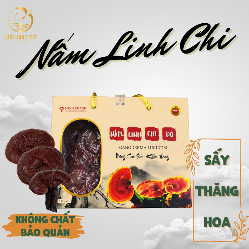 Nấm Linh Chi Đỏ Đặc Biệt 250gr - Kích thước nấm từ 4cm đến 10cm