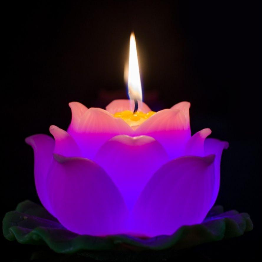 Nến hoa sen lớn - nến hoa thờ phật - nến bông sen trang trí cao cấp candle shop
